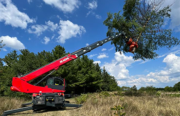 Machine moving large tree